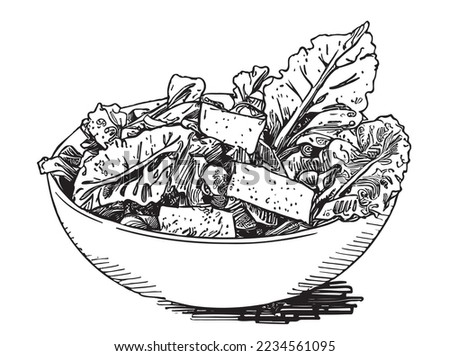 Caesar salad with chicken hand drawn engraving sketch Restaurant business concept Vector illustration.