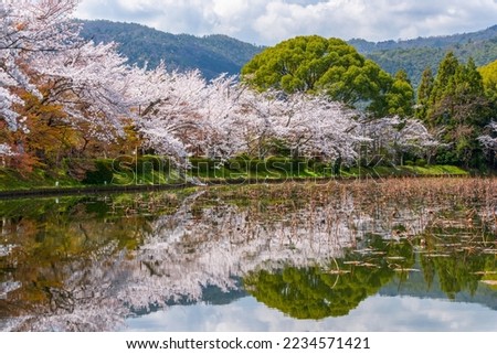 Kyoto, Japan in the Spring at Daikaku-ji Temple's pond.