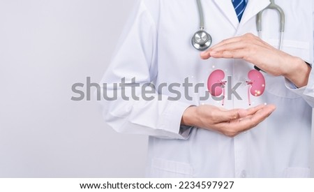 doctor in a white coat holding kidney organ, chronic kidney disease, renal failure, dialysis, Health checkup concept. Royalty-Free Stock Photo #2234597927