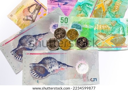 Group of money Maldives banknotes and coins on a white background. Maldives Currency rufiyaa note and coins , rufiyaa bank note, Maldivian rufiyaa money. Money and finances concept.