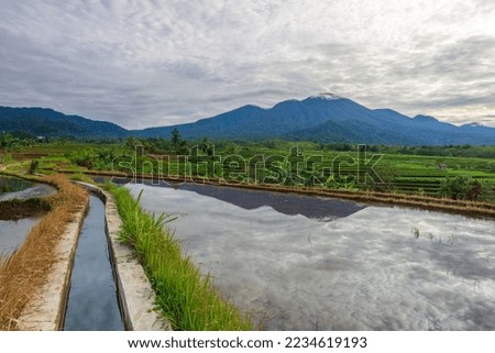 View of Indonesia in the morning, terracing rice fields from Mount Sumatra