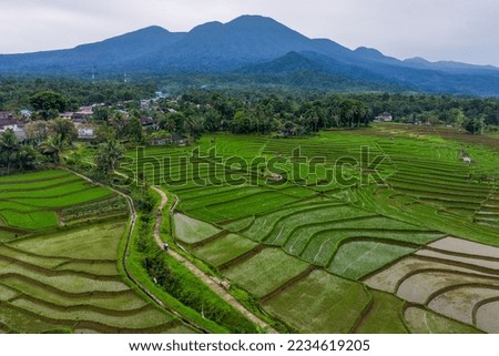 Indonesian scenery in the morning, green rice fields and blue mountains