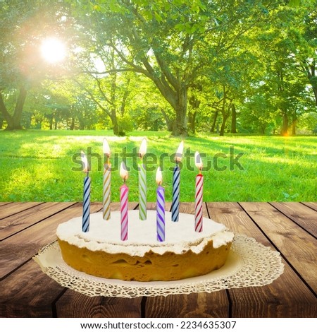 candles on birthday vanilla cake in s sunny garden
