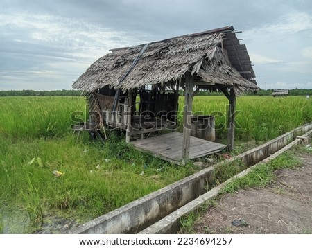an old hut in the middle of a rice field with a sago leaf roof
