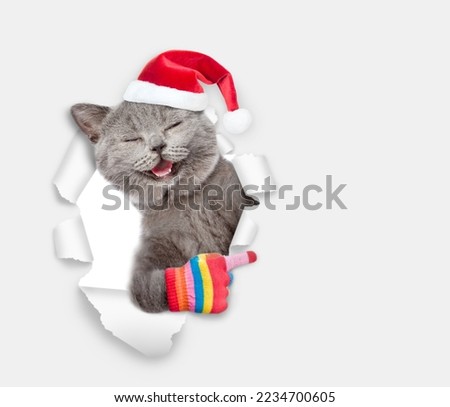 Happy kitten wearing red santa hat looking through a hole in white paper and pointing away on empty space