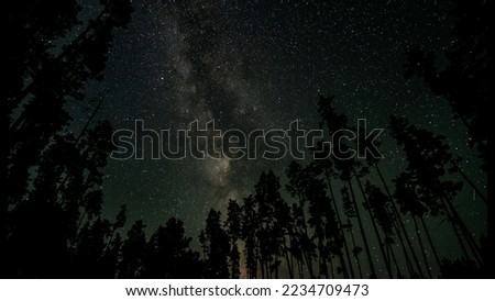 The Milky Way galaxy above the silhouettes of trees. Starry night background.