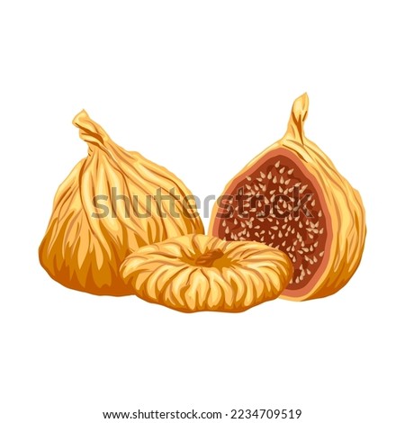 figs dried fruit cartoon. dry food, fig snack, organic healthy, dessert sweet, fresh natural, tasty figs dried fruit vector illustration Royalty-Free Stock Photo #2234709519