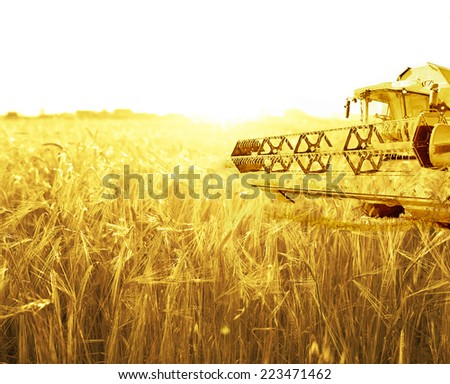 Harvesting machine on ripening ears of yellow wheat field on the sunset cloudy orange sky background of the setting sun on horizon Close up nature photo Idea of a rich harvest