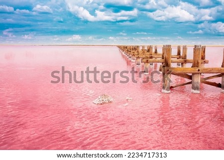 The pink lake is a beautiful landscape, unusual nature. A unique rare natural phenomenon. Salt lake with pink algae. Beautiful landscape. Royalty-Free Stock Photo #2234717313