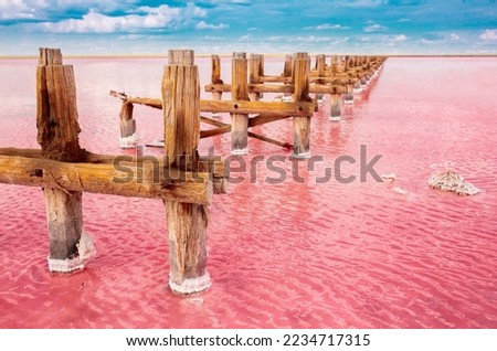 The pink lake is a beautiful landscape, unusual nature. A unique rare natural phenomenon. Salt lake with pink algae. Beautiful landscape. Royalty-Free Stock Photo #2234717315