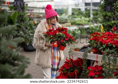 Woman chooses Christmas flower at plant shop, preparing for a winter holidays. Concept of shopping poinsettia flower for Christmas time Royalty-Free Stock Photo #2234742611