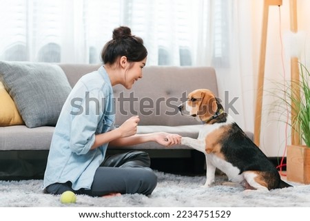 Portrait of happy asian woman in casual jeans shirt with beagle dog at home, spending time with pet at livingroom. Royalty-Free Stock Photo #2234751529