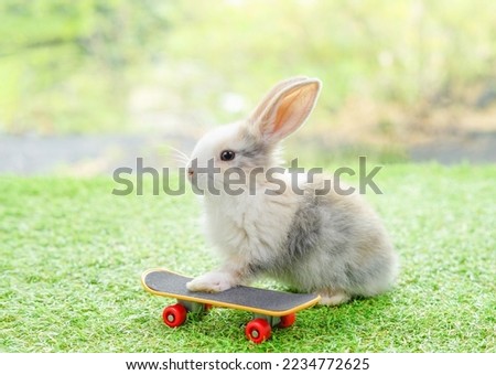 adorable rabbit with skateboard, a little bunny playing skate.                                                                                                                          