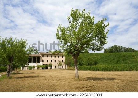 Vineyards along the Road of Prosecco e Conegliano Wines, in Treviso province, Veneto, Italy, at summer. Unesco World Heritage Site