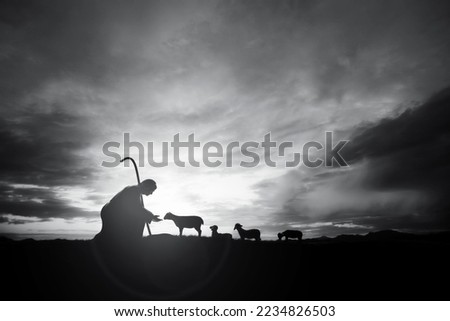 Shepherd Jesus Christ taking care of the lamb and a flock of sheep on the meadow with a brightly rising sunrise landscape
 Royalty-Free Stock Photo #2234826503