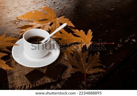 A cup of coffee on a wooden table in the park among autumn foliage. Cup of tea on an autumn day