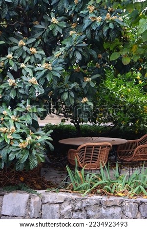 Wooden table and rattan chairs under the tree. Small picturesque Mediterranean garden. 