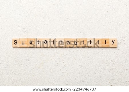 Sustainability word written on wood block. Sustainability text on table, concept.