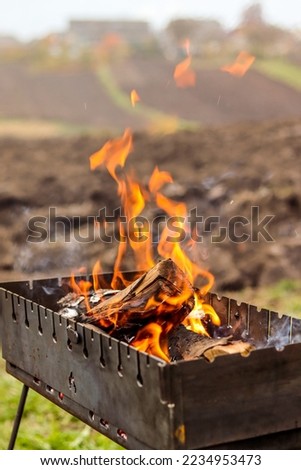 Brazier with flaming logs, heat, fire, light, ashes. Autumn rural landscape, macro photography. Autumn photo, wallpapers