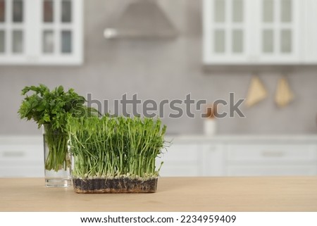 Beautiful potted microgreen and glass with herbs on table in kitchen, space for text