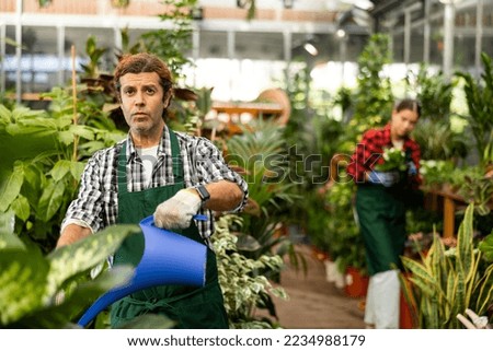 Focused experienced adult floriculturist watering potted ornamental houseplants while working in garden center.. Royalty-Free Stock Photo #2234988179
