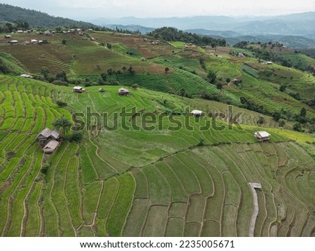 Rice terrace Pa Bong Piang in Mae Chaem, Chiang Mai, Thailand., Beautiful landscape view of rice terraces.