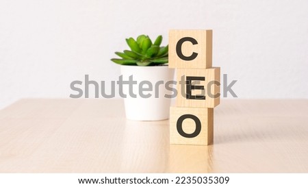 ceo - text on wooden cubes on wooden background. business concept.