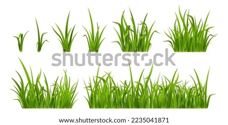 Green grass, weed plants for lawn, spring or summer field, garden or meadow. Borders and tufts of fresh grass blades isolated on white background, vector realistic set Royalty-Free Stock Photo #2235041871