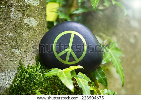 The Peace Sign on a stone in nature