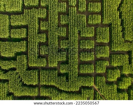 High angle view of corn maze. Concept of search for a solution and a way out. Royalty-Free Stock Photo #2235050567