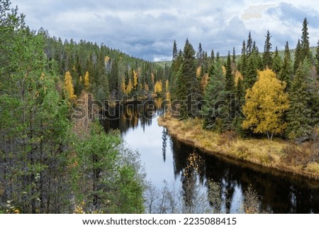 A view to river Oulankajoki and tall Spruce trees on an autumn day in Oulanka National Park, Northern Finland