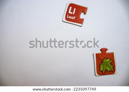 Puzzles with picture of leaves and inscriptions of leaves, placed separately on the upper right and upper part of the white background.