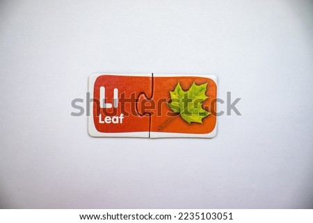 Puzzles with leaf pictures and leaf inscriptions placed together in the middle of a white background.