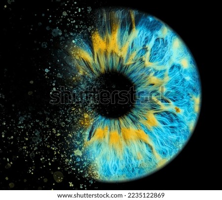 Eye iris colorful wonders of the human body close-up photo Royalty-Free Stock Photo #2235122869