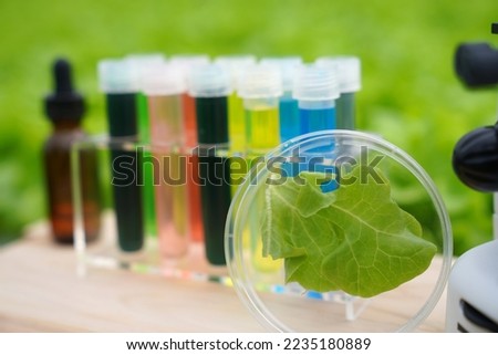 Check the quality of organic vegetables food scientist reviews for chemicals and pesticides Study the quality of soil and crops. Grow organic vegetables. Eco-friendly products, Pomology, agriculture. Royalty-Free Stock Photo #2235180889