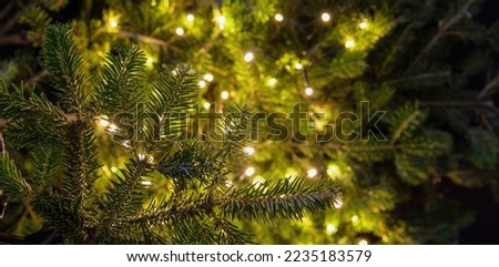 Christmas tree and Xmas bokeh lights decoration close up, copy space. Winter holiday card template, banner.