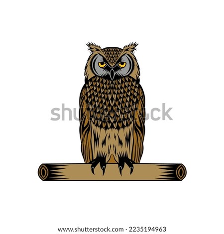 Owl illustration vector design, this animal is a nocturnal type of animal
