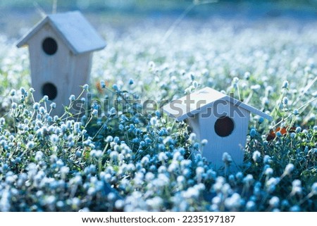 These are pictures of birdhouse located in different places.