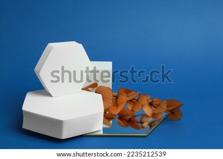 Product photography props. Geometric shaped podiums, plant and mirror on blue background, space for text
