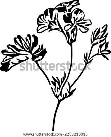 Wildflowers Vector illustration, Clip Art, Black and White