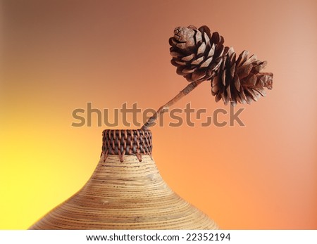 Bamboo vase with pine cones