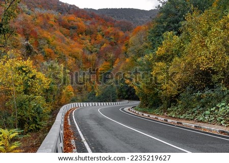 Highway in the mountains on an autumn day among the mountains, an empty paved road. An asphalt road with fallen leaves in an autumn forest. Yellow and orange leaves on trees in the morning forest.