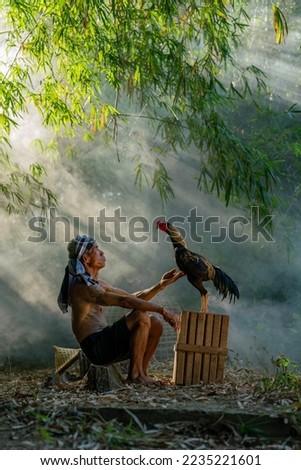 Asian village lifestyle concept. A male asian mature adult thais cock fighting trainer raising and training his rooster  in a forest in Sakon Nakhon, Northeast Thailand, Isan way of life. Royalty-Free Stock Photo #2235221601