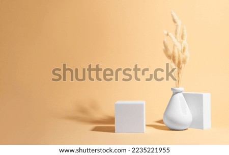 Scene with podium for product presentation. Figures of different geometric shapes and dry plant on pale orange background, space for text