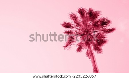 Abstract palm tree against clear sky background with trendy glitch effect and toned in color of year 2023 Viva Magenta. Low angle view template with copy space Royalty-Free Stock Photo #2235226057