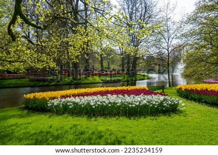 These fields of tulips and daffodils border a large pond with a fountain in a park in Lisse