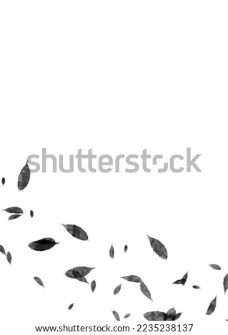 Black leaves White background wallpaper