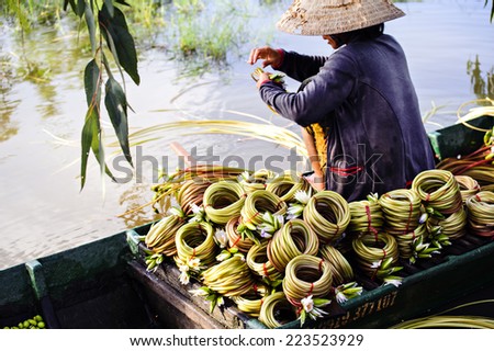 Water lily flowers (Nymphaea) prepared in roll for sale. This is used vegetables, soft, fresh and delicious. It is very popular in Mekong delta area, Southeast of Vietnam 