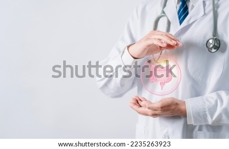 doctor in a white coat hands holding stomach with intestine virtual icon, probiotics food for gut health, colon cancer, bowel inflammatory. Health checkup concept.
