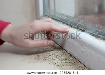 Black mold fungus growing on windowsill. Dampness problem concept. Condensation on the window. Royalty-Free Stock Photo #2235281841